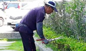 居家清潔